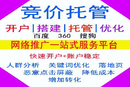 某电商平台的SEM服务托管全流程案例